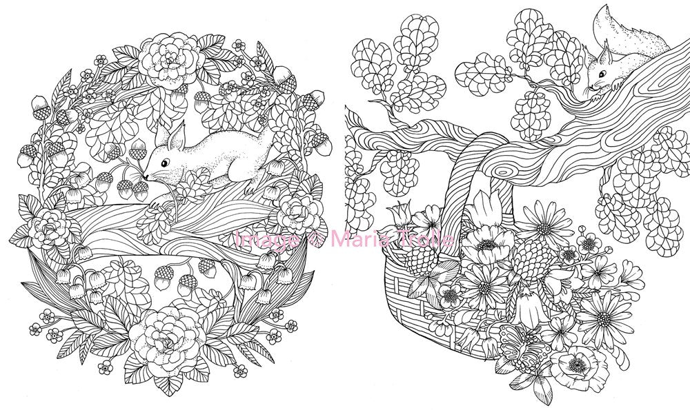 Twilight Garden Coloring Book