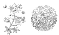 Botanicum Coloring Book