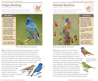 National Geographic Pocket Guide to the Birds of North America