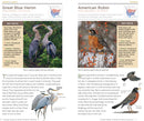 National Geographic Pocket Guide to the Birds of North America