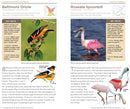 National Geographic Pocket Guide to the Birds of North America