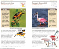 National Geographic Pocket Guide to the Birds of North America