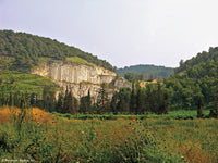 National Geographic Who's Who in the Bible