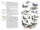 National Geographic Field Guide to the Birds of North America, 7th Edition