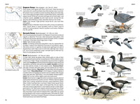 National Geographic Field Guide to the Birds of North America, 7th Edition