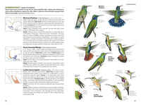 National Geographic Field Guide to the Birds of North America, 7th Edition