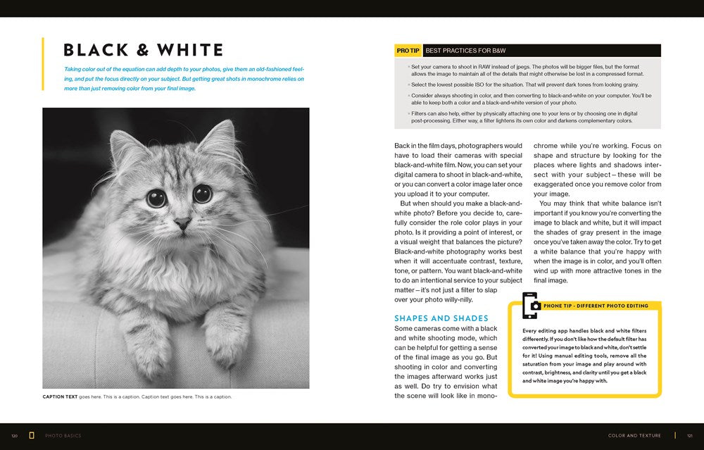 National Geographic Photo Basics: The Ultimate Beginner's Guide to Great Photography