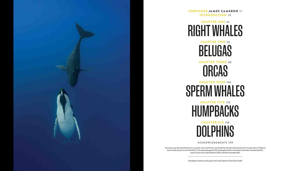 Secrets of the Whales