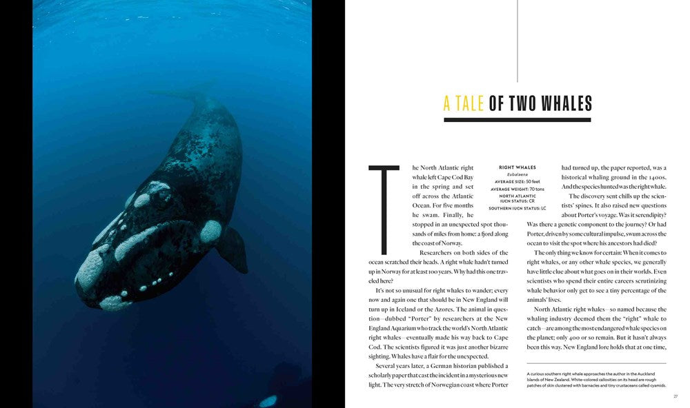 Secrets of the Whales