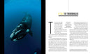 Secrets of the Whales