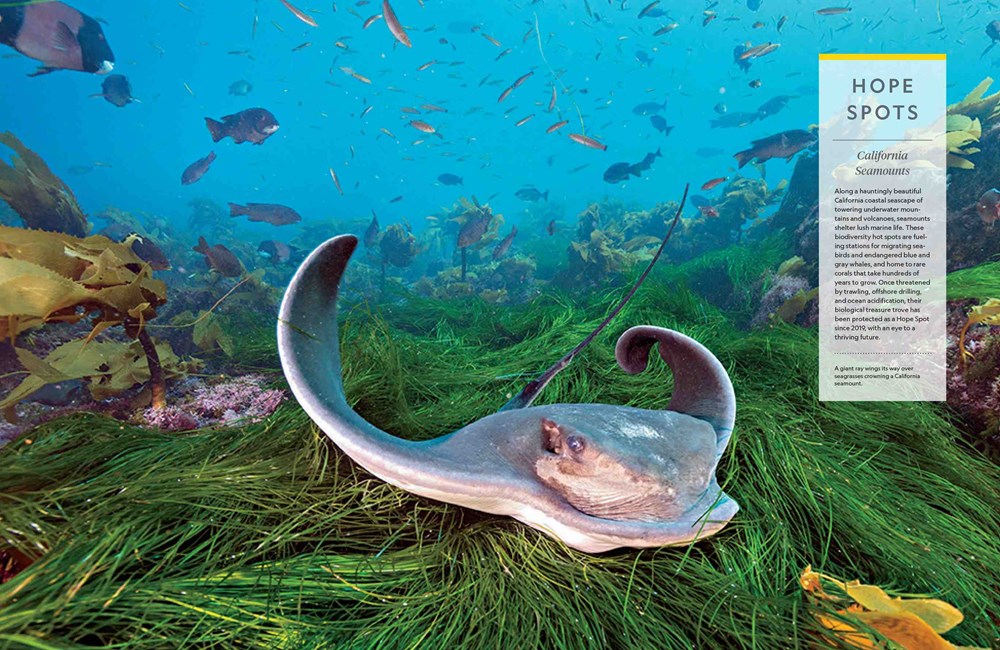 National Geographic Ocean