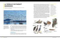 National Geographic Birding Basics