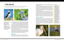 National Geographic Birding Basics