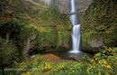 100 Trails, 5,000 Ideas: Where to Go, When to Go, What to See, What to Do