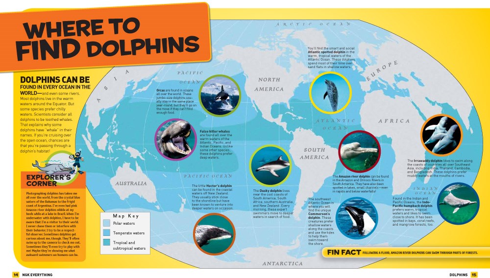National Geographic Kids Everything Dolphins