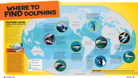 National Geographic Kids Everything Dolphins