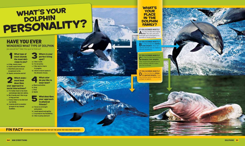 National Geographic Kids Everything Dolphins