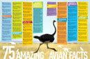 5,000 Awesome Facts (About Everything!)