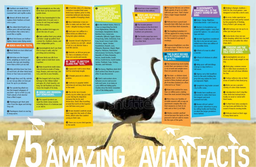 5,000 Awesome Facts (About Everything!)