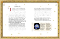 Treasury of Egyptian Mythology