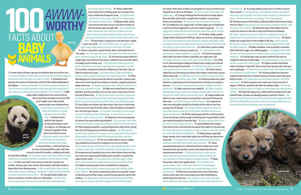 5,000 Awesome Facts About Animals