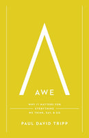 Awe