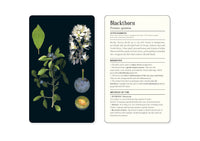 50 Plants that Heal