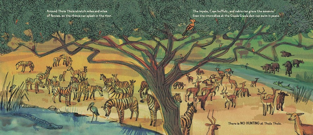 The Elephants Come Home