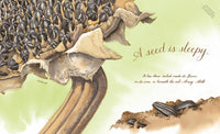A Seed Is Sleepy: (Nature Books for Kids, Environmental Science for Kids)