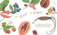 A Seed Is Sleepy: (Nature Books for Kids, Environmental Science for Kids)