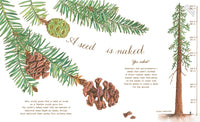 A Seed Is Sleepy: (Nature Books for Kids, Environmental Science for Kids)