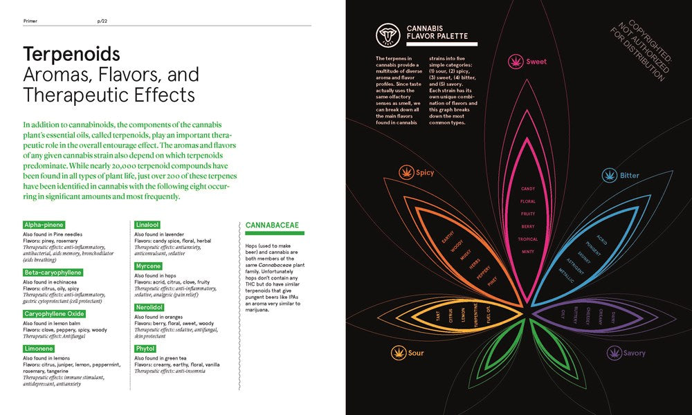 Green: A Field Guide to Marijuana
