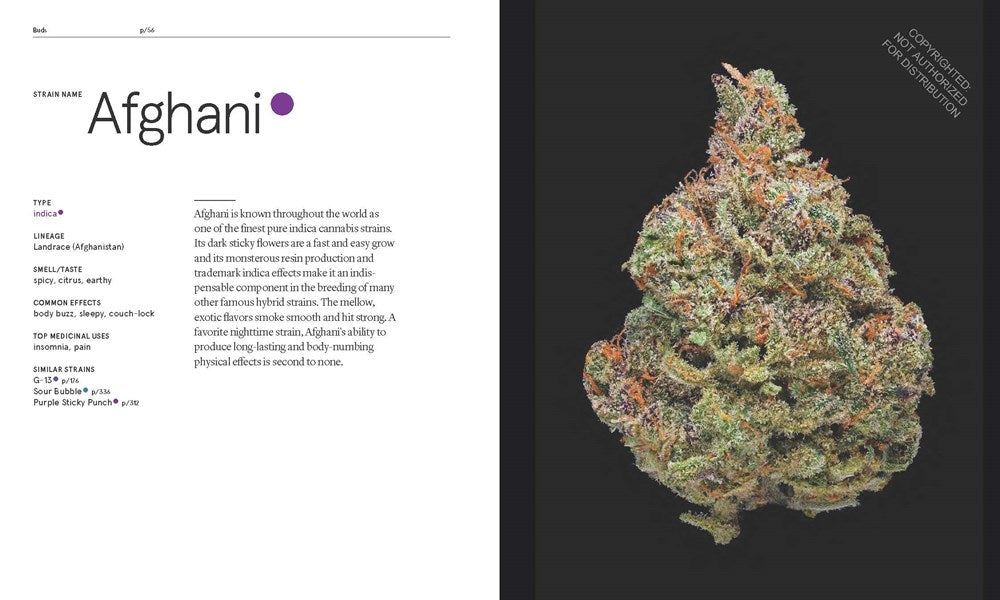 Green: A Field Guide to Marijuana