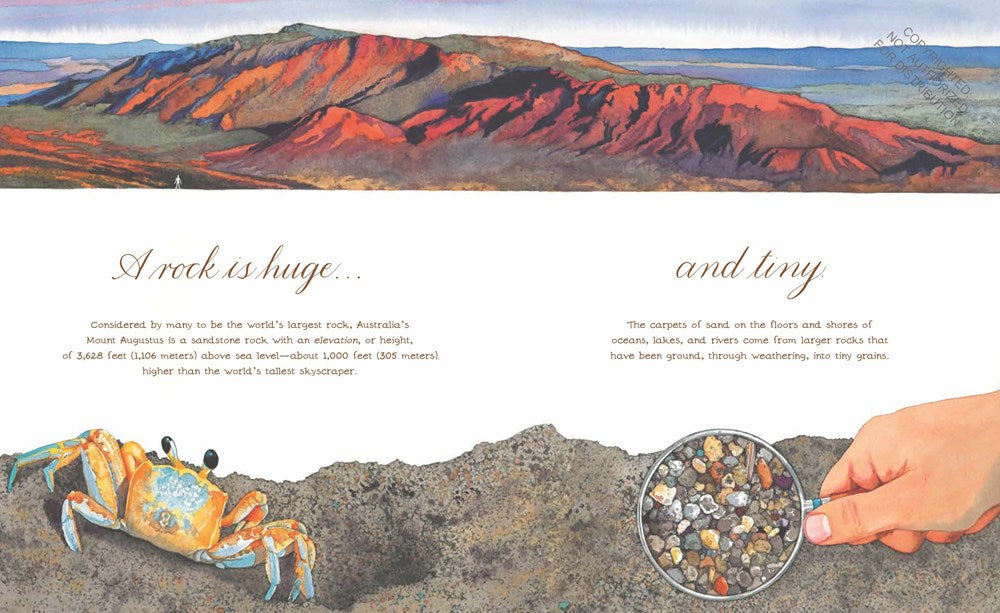 A Rock Is Lively