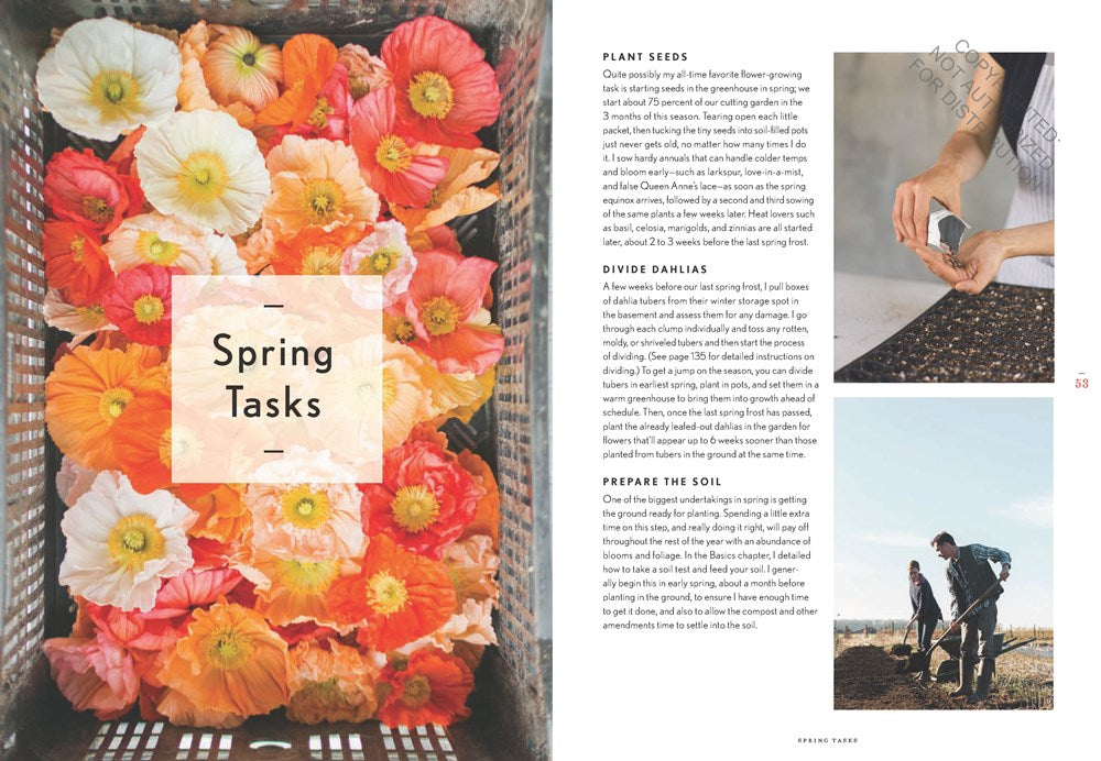 Floret Farm's Cut Flower Garden: Grow, Harvest, and Arrange Stunning Seasonal Blooms