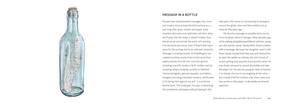 The Beachcomber's Companion