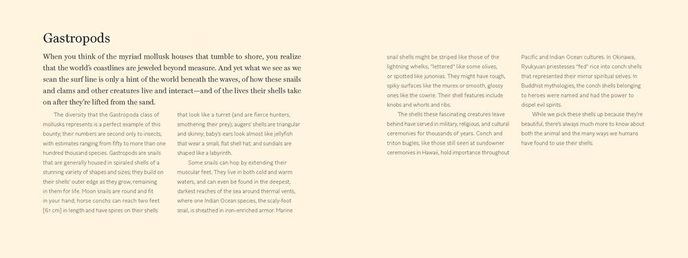 The Beachcomber's Companion