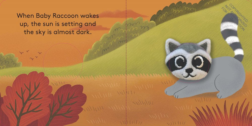 Baby Raccoon: Finger Puppet Book