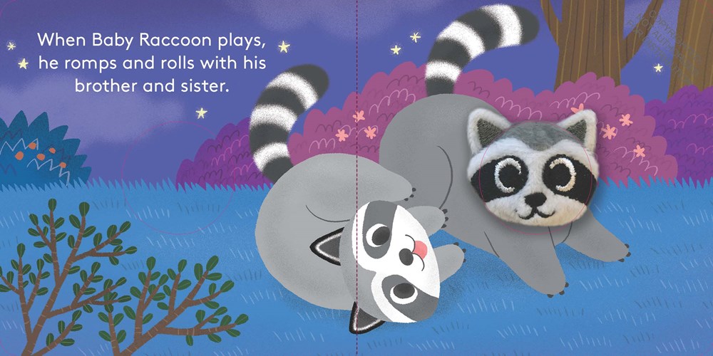 Baby Raccoon: Finger Puppet Book