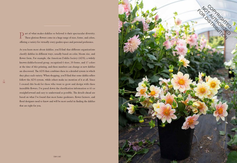 Floret Farm's Discovering Dahlias: A Guide to Growing and Arranging Magnificent Blooms