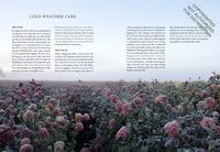 Floret Farm's Discovering Dahlias: A Guide to Growing and Arranging Magnificent Blooms