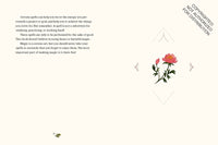 The Little Witch's Book of Spells