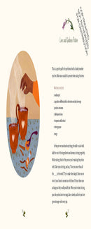 The Little Witch's Book of Spells