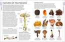 Mushrooms: How to Identify and Gather Wild Mushrooms and Other Fungi