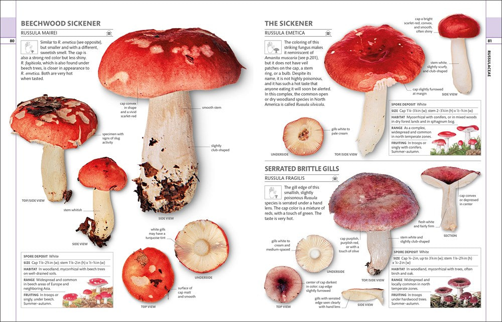 Mushrooms: How to Identify and Gather Wild Mushrooms and Other Fungi