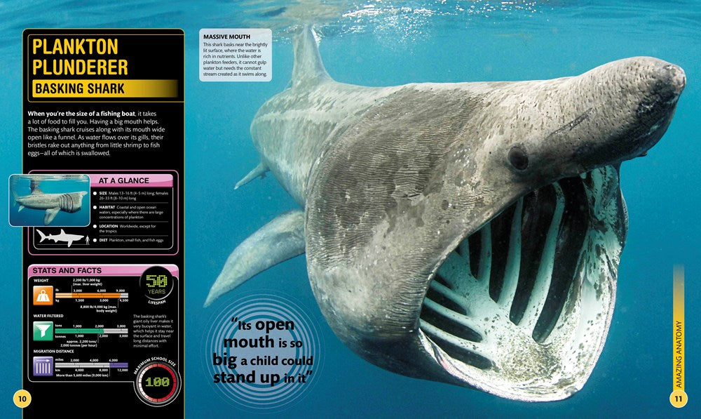 Super Shark Encyclopedia: And Other Creatures of the Deep (DK Super Nature Encyclopedias)