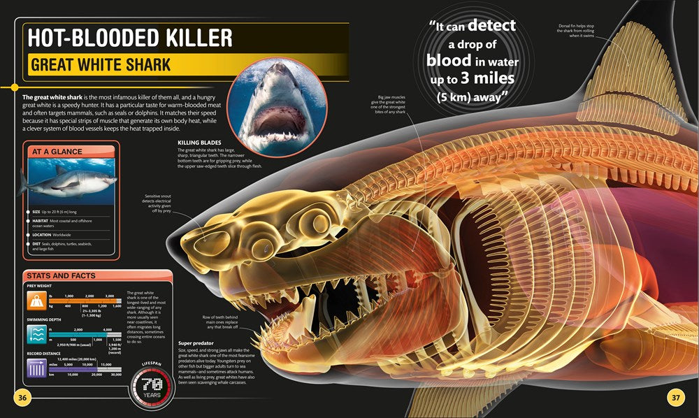 Super Shark Encyclopedia: And Other Creatures of the Deep (DK Super Nature Encyclopedias)