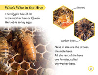 DK Readers L2: Amazing Bees