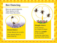 DK Readers L2: Amazing Bees