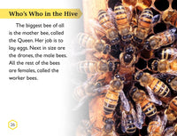 DK Readers L2: Amazing Bees